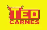 Téo Carnes